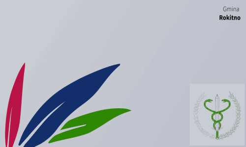 Komunikat  Lubelskiego Wojewódzkiego Lekarza Weterynarii w sprawie wysoce zjadliwej grypy ptaków HPAI