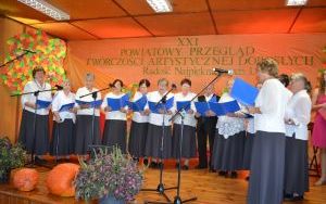 XXI Powiatowy przegląd twórczości artystycznej  (14)