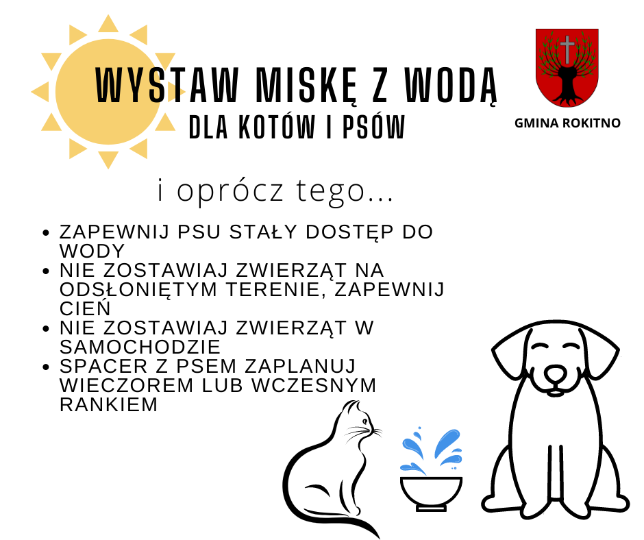 Wystaw miskę z wodą dla psów i kotów