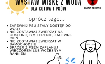 Wystaw miskę z wodą dla zwierząt